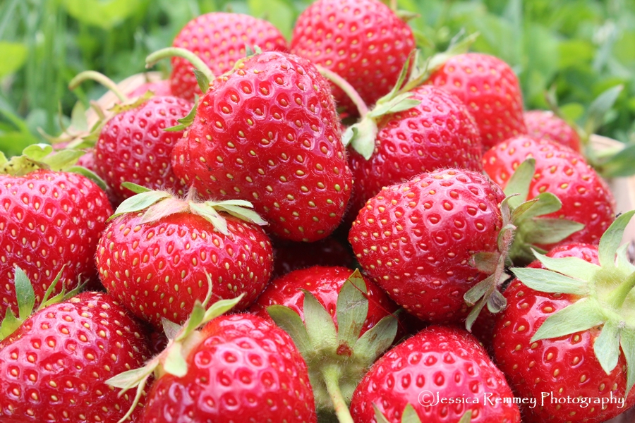 Sweet Strawberries